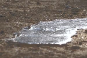 floating water on ground